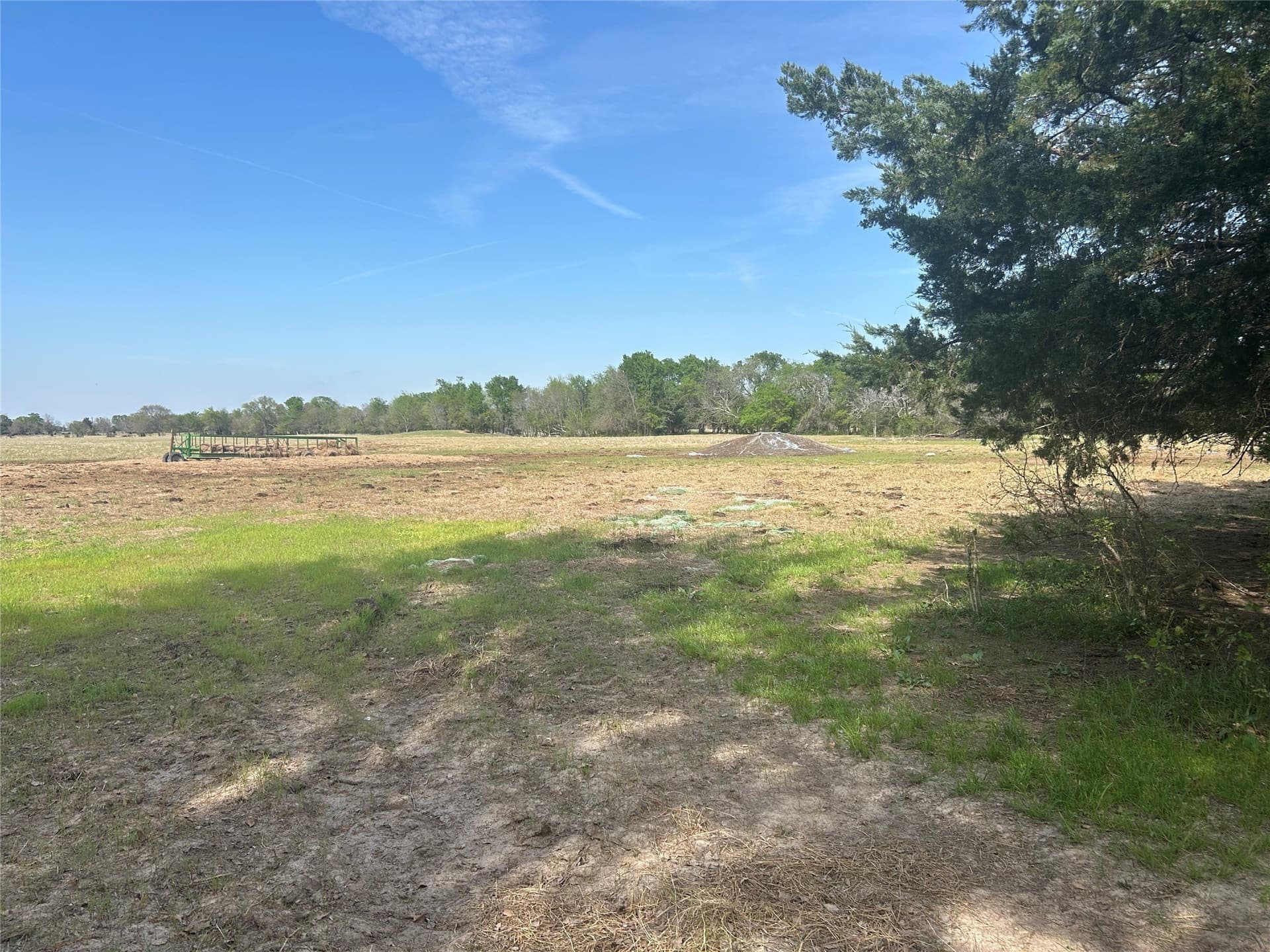 374 acres in Henderson County - photo 15