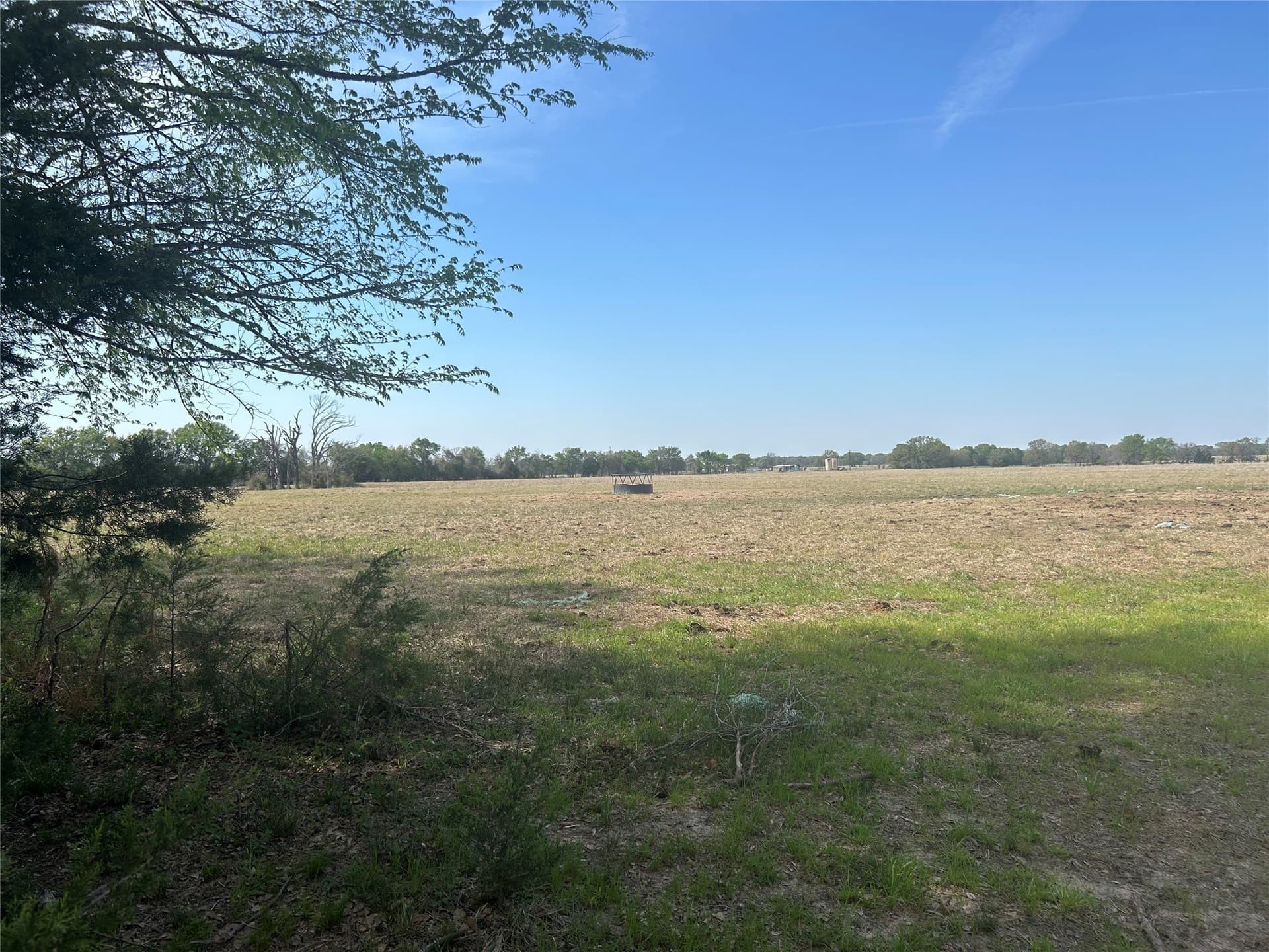 374 acres in Henderson County - photo 16