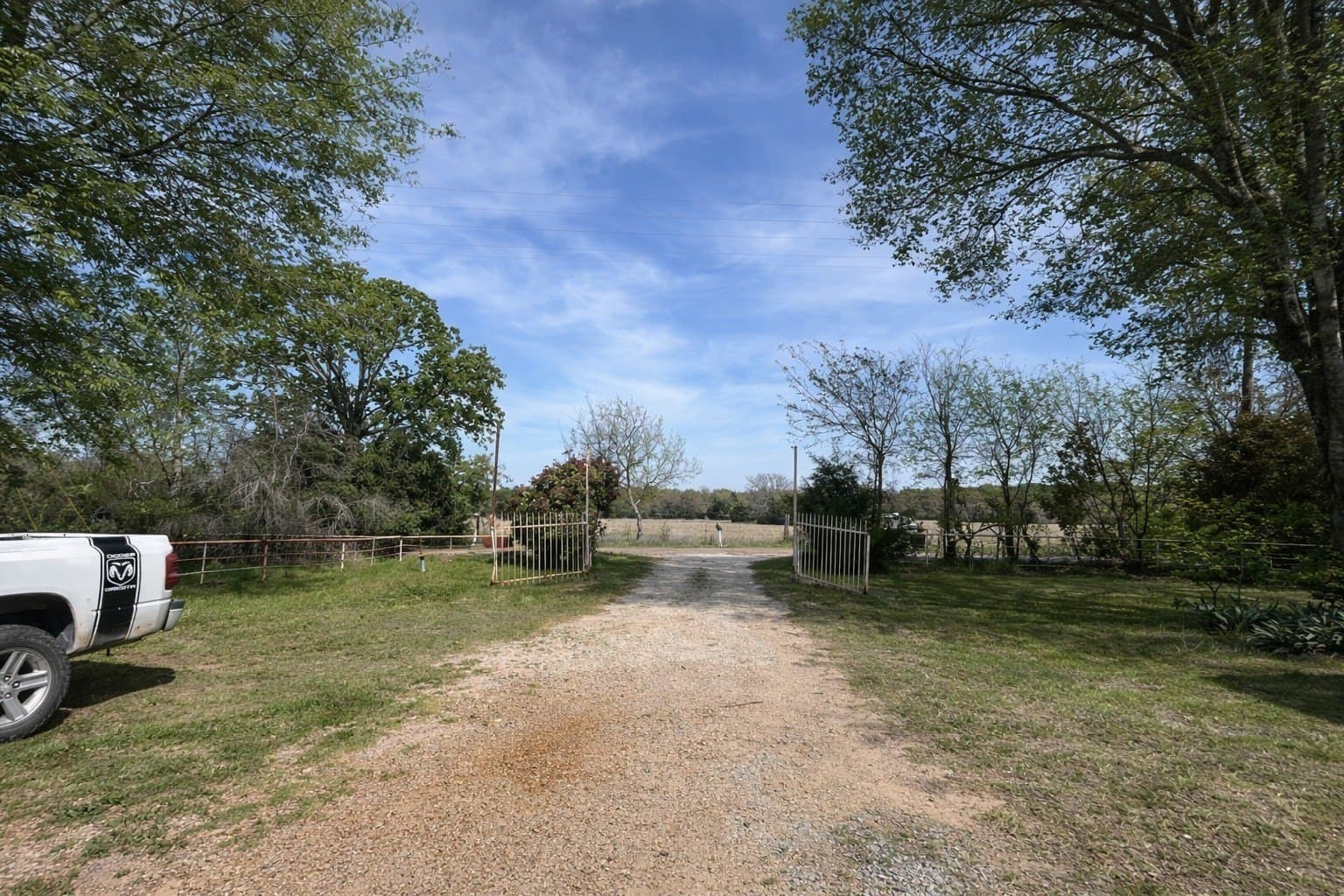 374 acres in Henderson County - photo 11