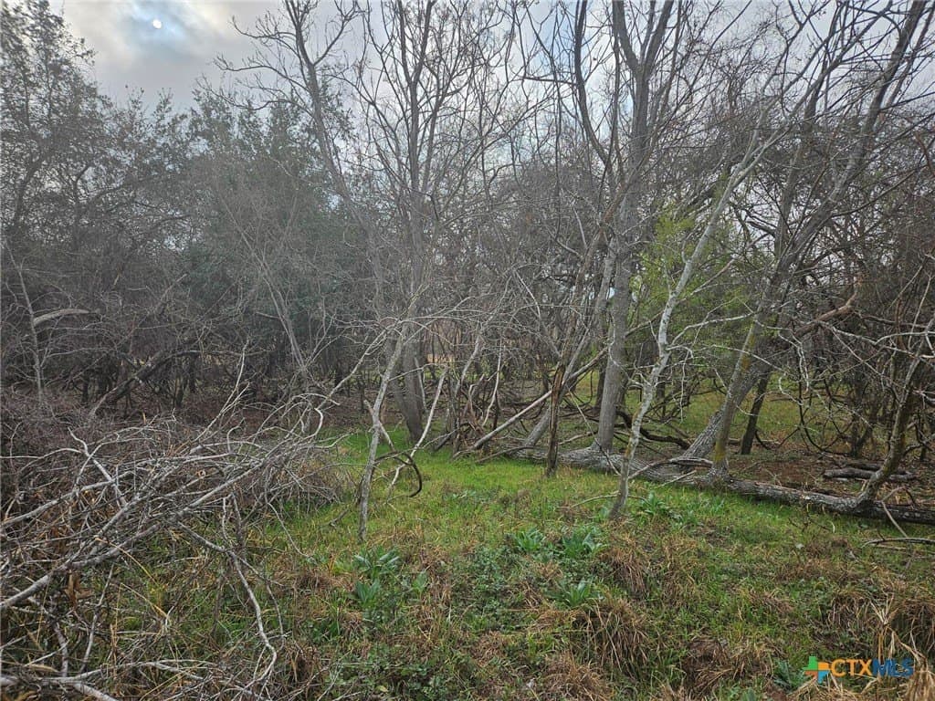 6 acres in Wilson County - photo 9