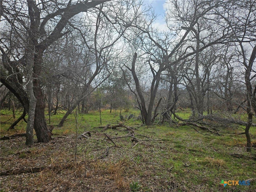 6 acres in Wilson County - photo 10