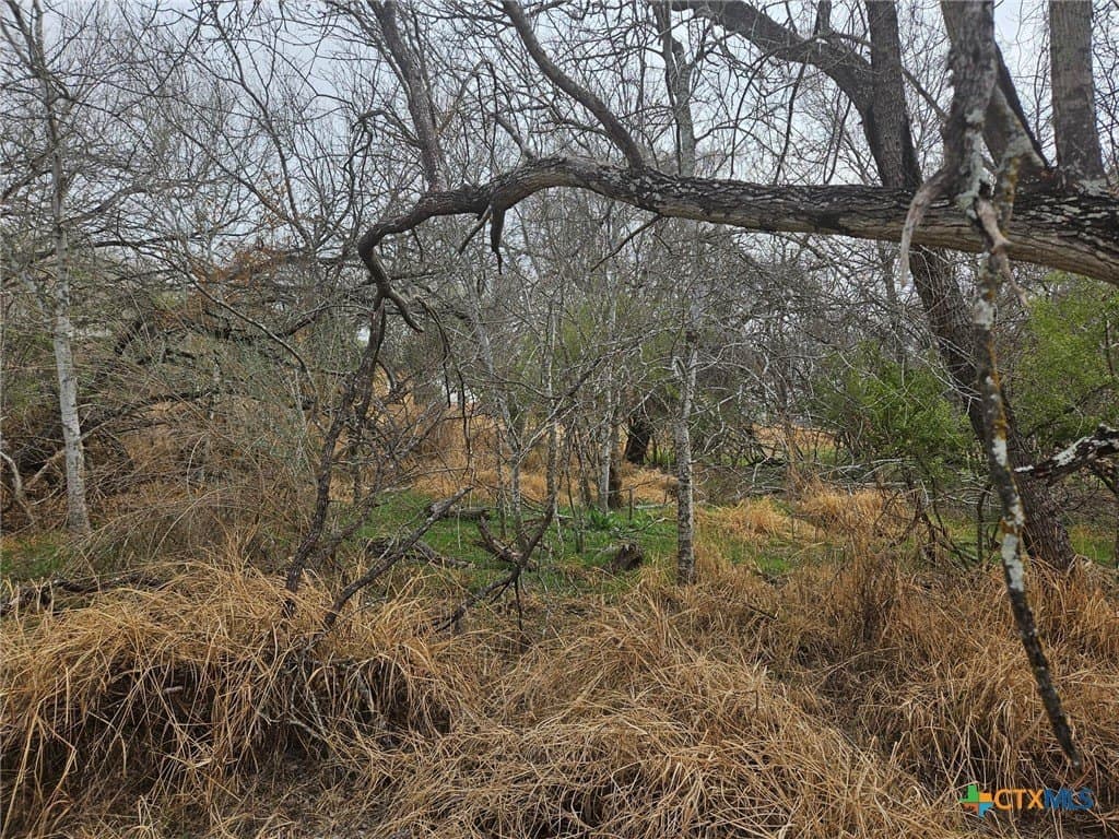6 acres in Wilson County - photo 7