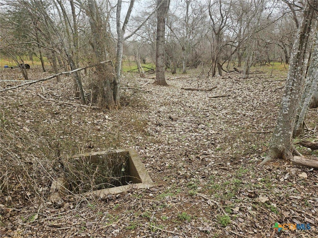 6 acres in Wilson County - photo 13