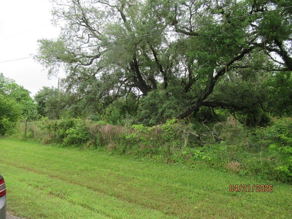 8.43 acres in Jones Creek County gallery image 3