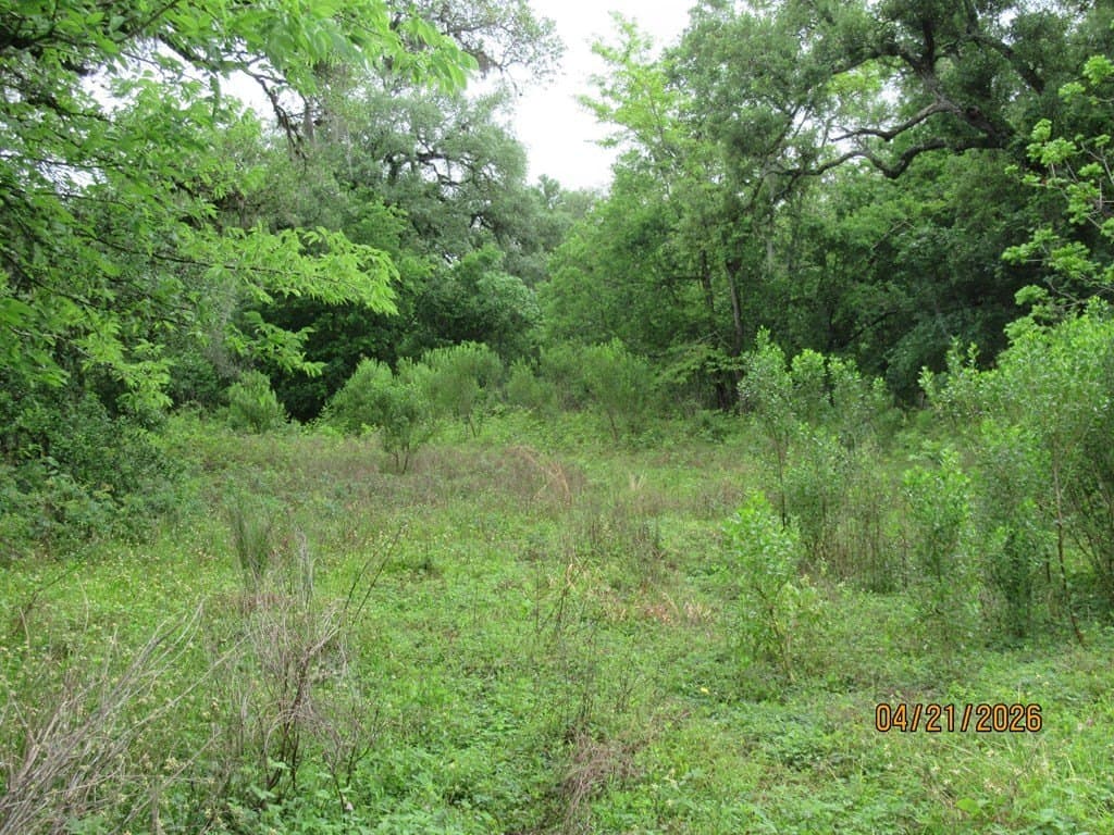 8.43 acres in Jones Creek County gallery image 2