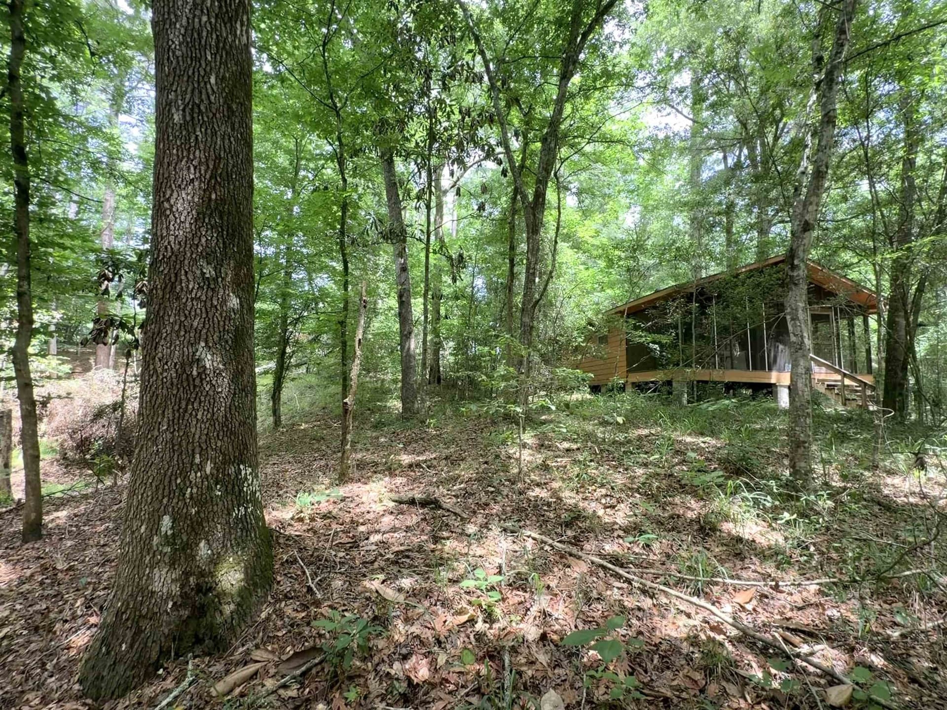 70.79 acres in Texas County - photo 38