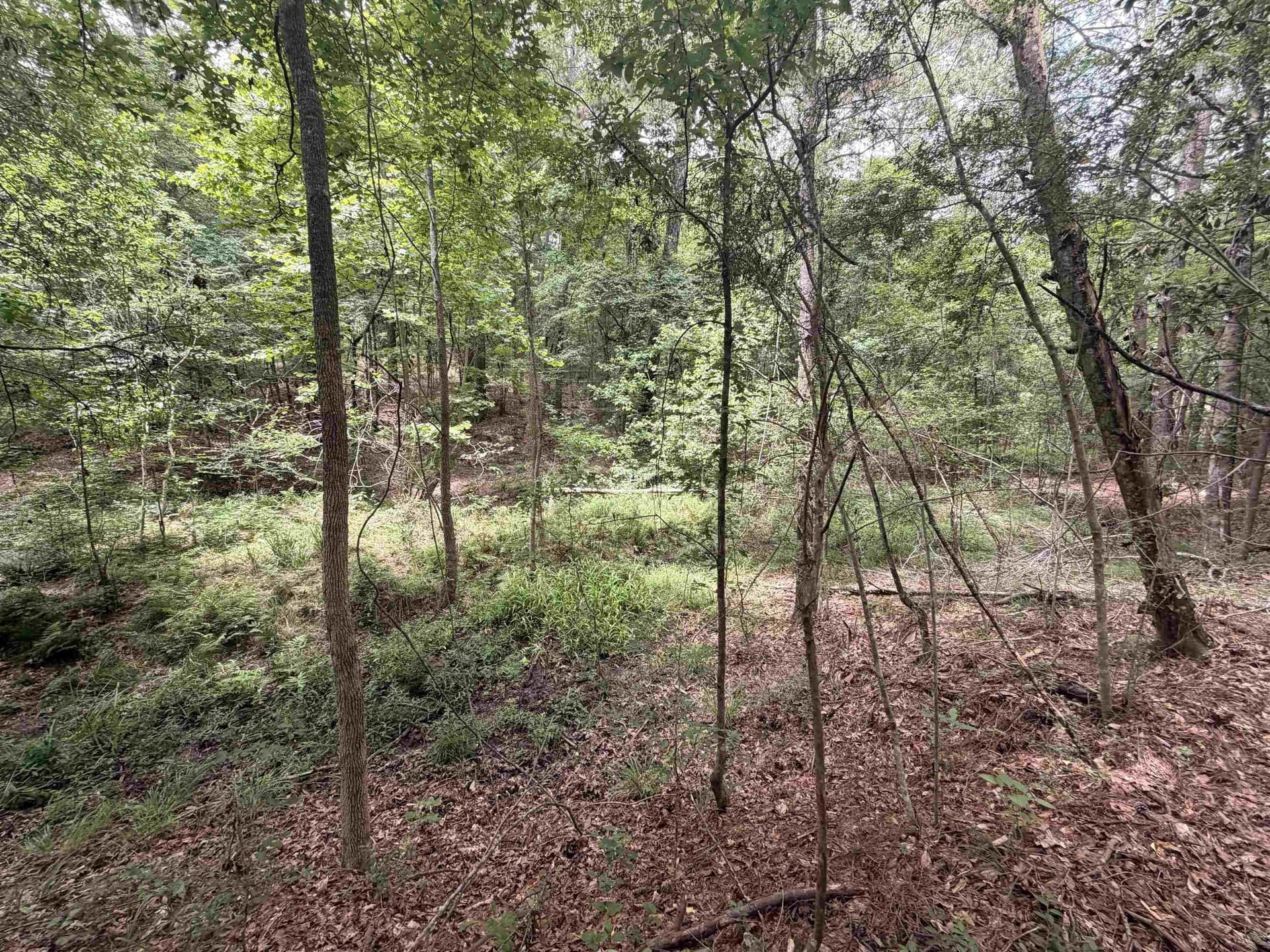 70.79 acres in Texas County - photo 7
