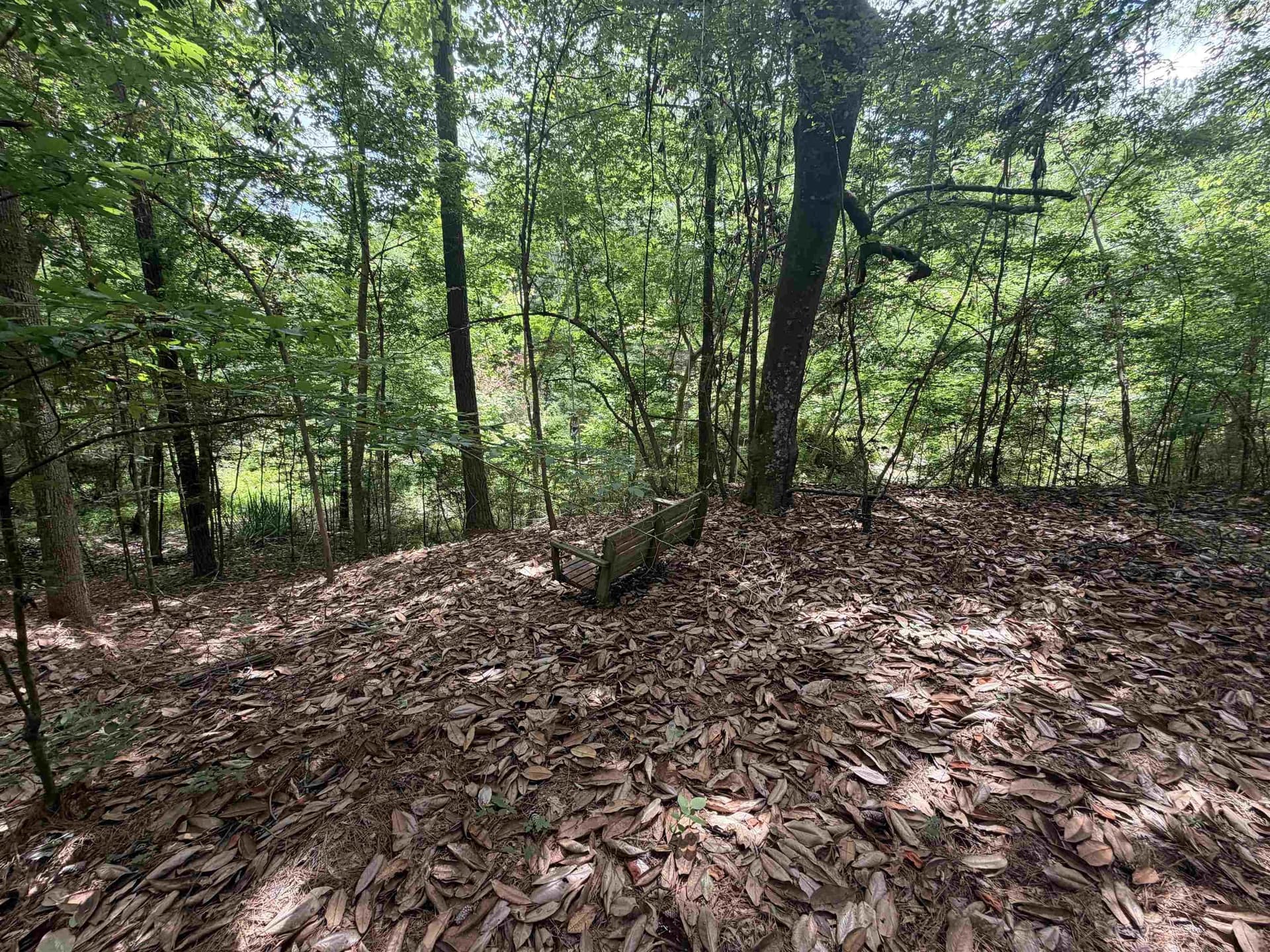 70.79 acres in Texas County - photo 17