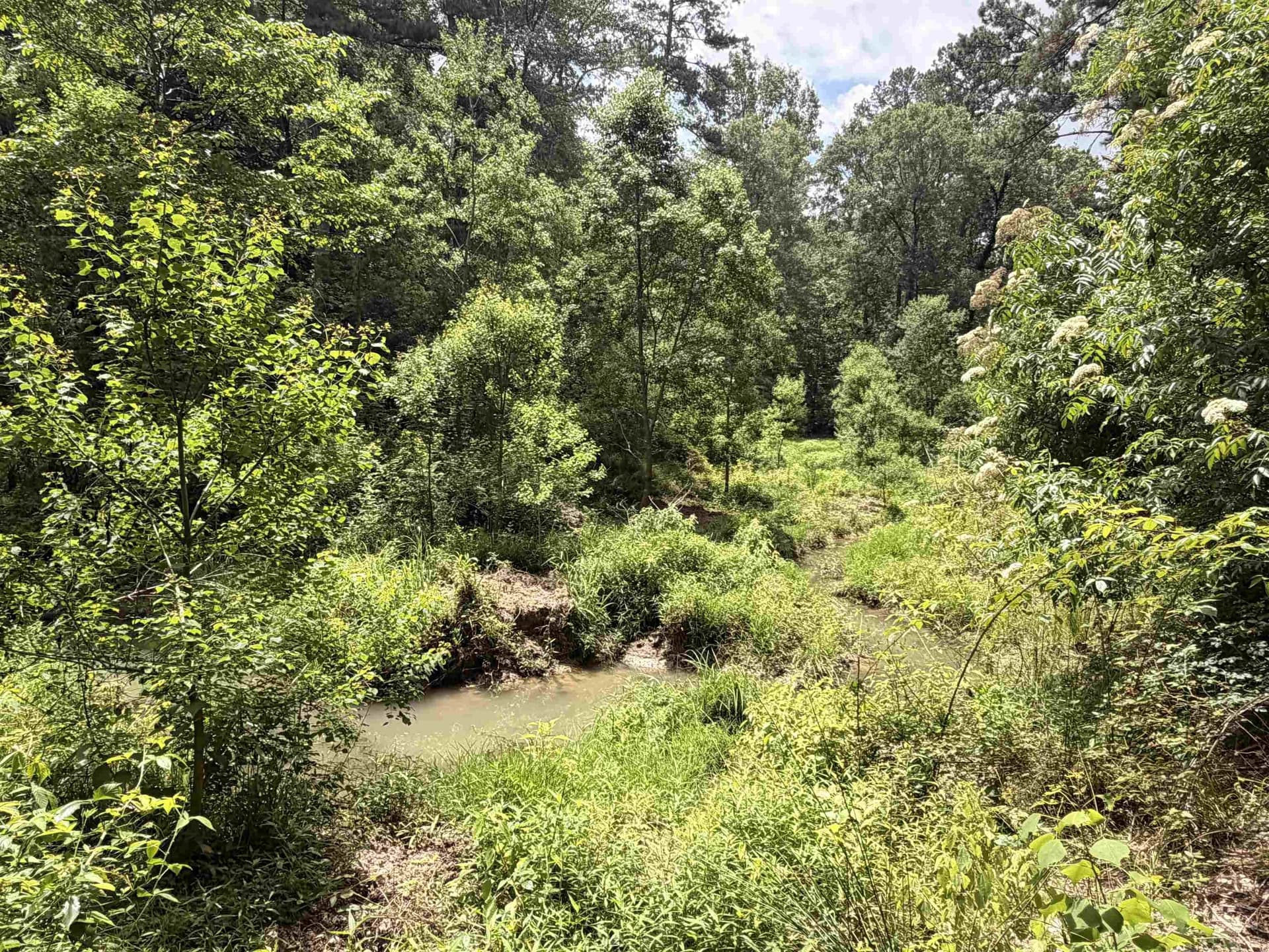 70.79 acres in Texas County - photo 21