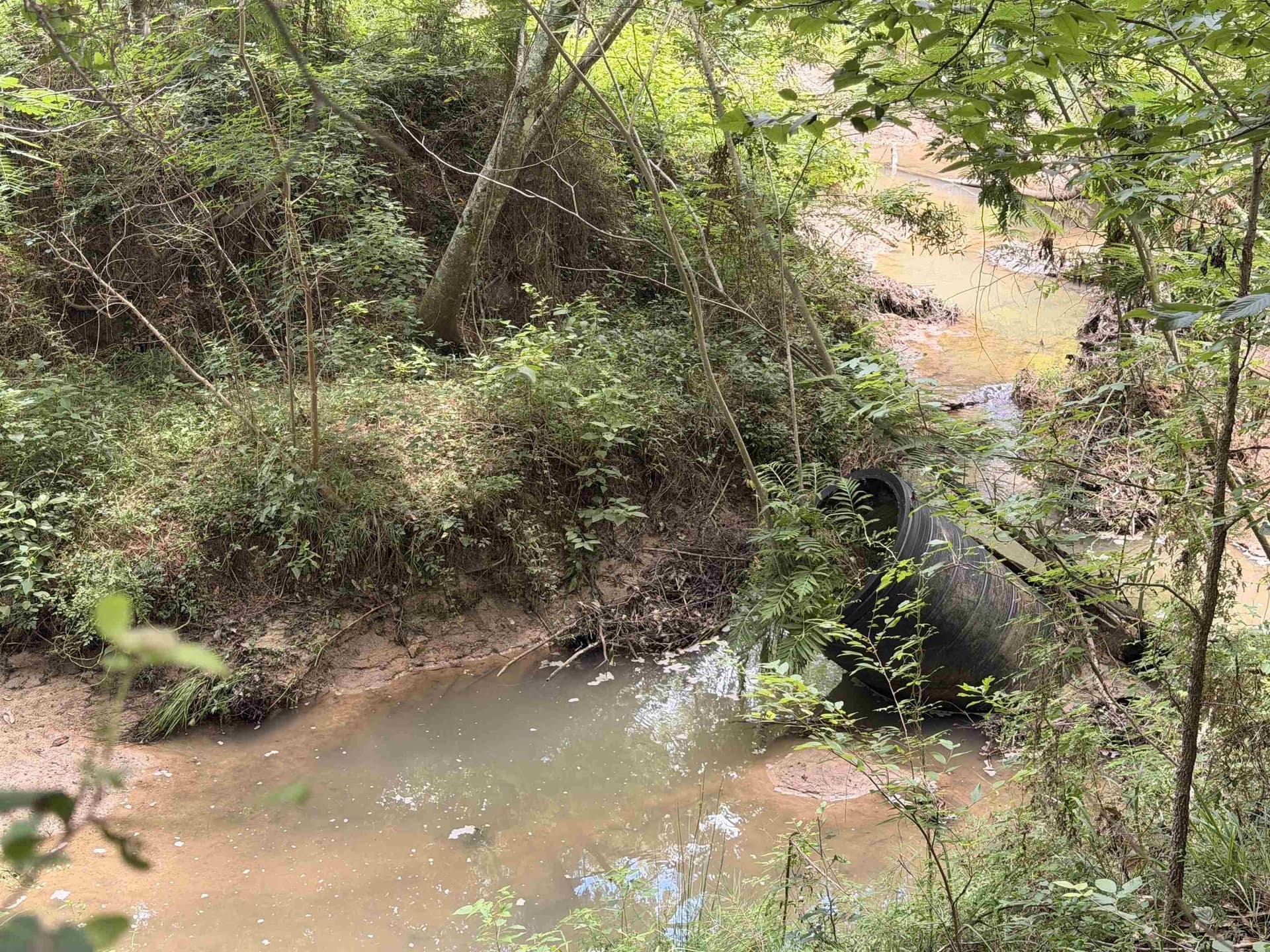 70.79 acres in Texas County featured view