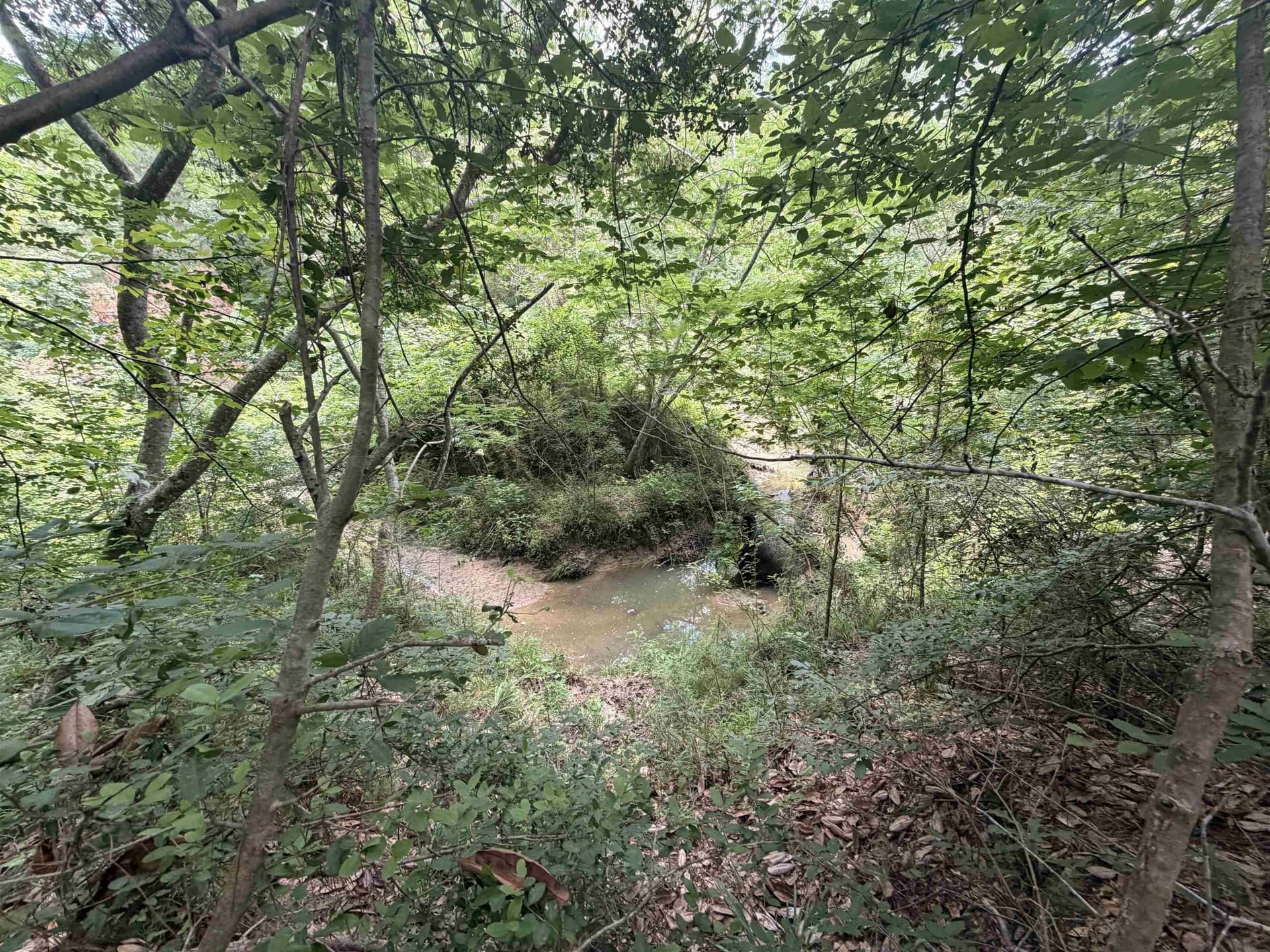 70.79 acres in Texas County - photo 6