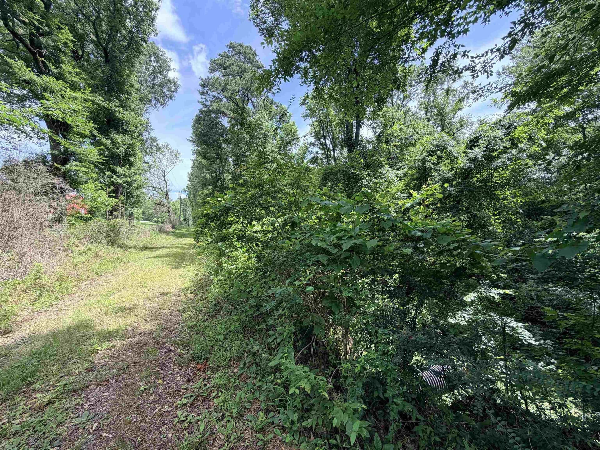 70.79 acres in Texas County - photo 25