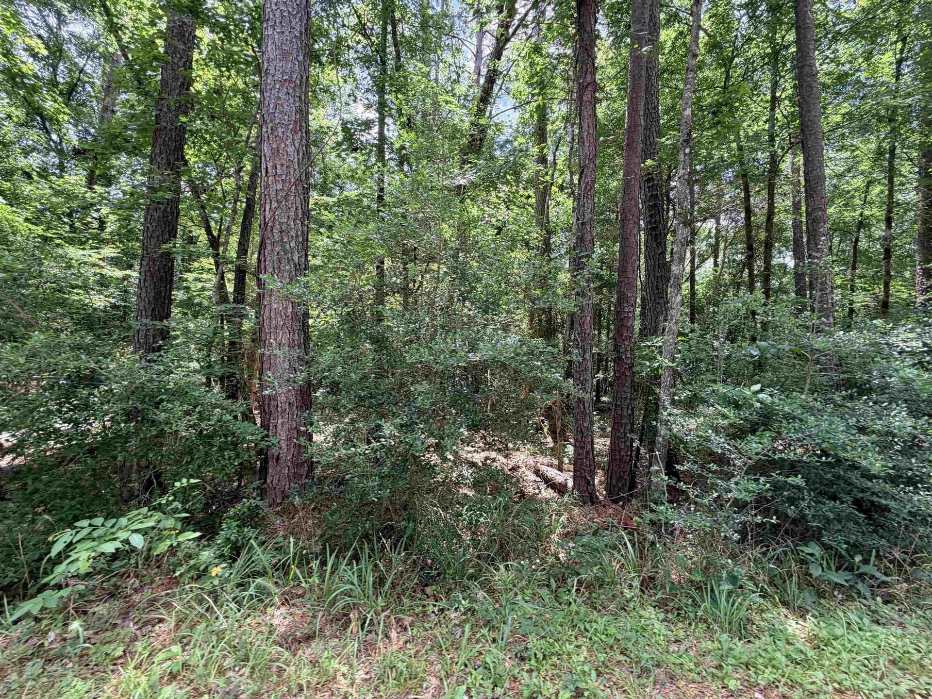 70.79 acres in Texas County - photo 12