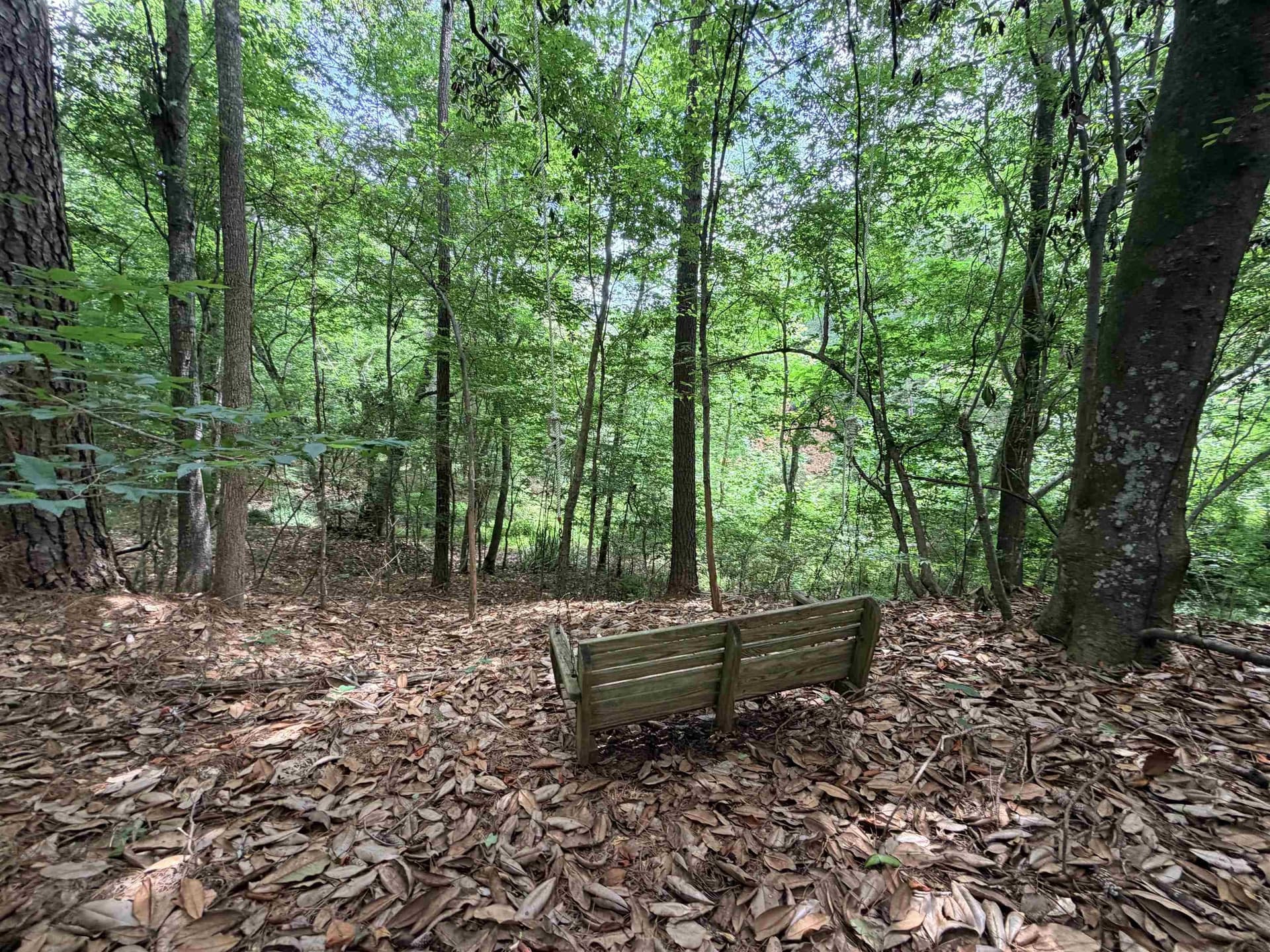 70.79 acres in Texas County - photo 13