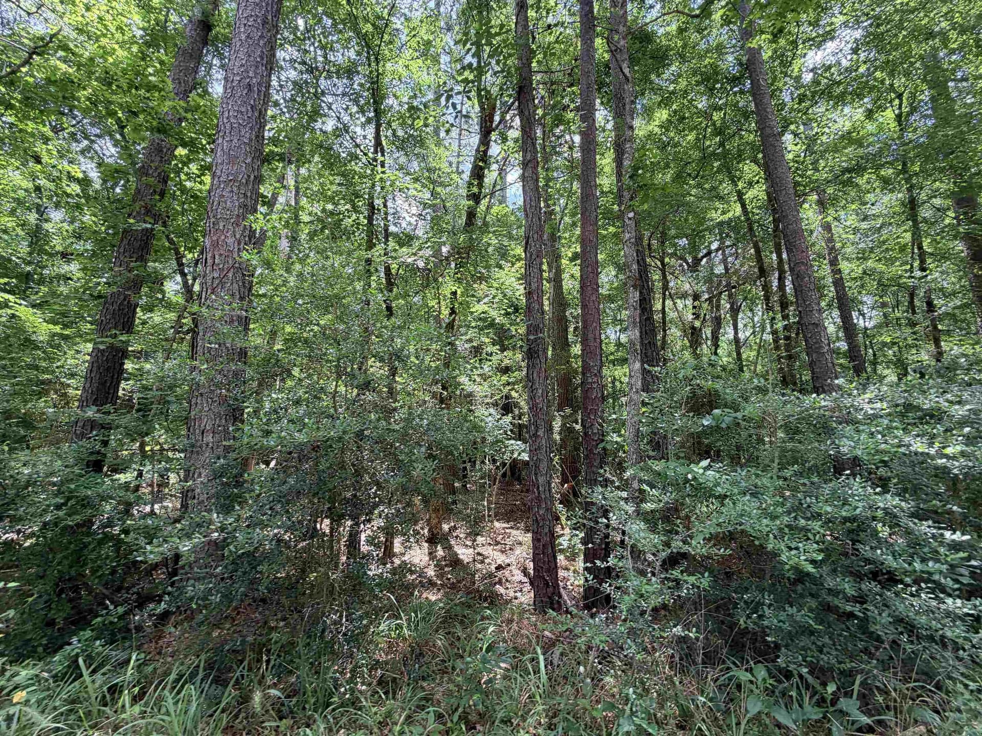 70.79 acres in Texas County - photo 22