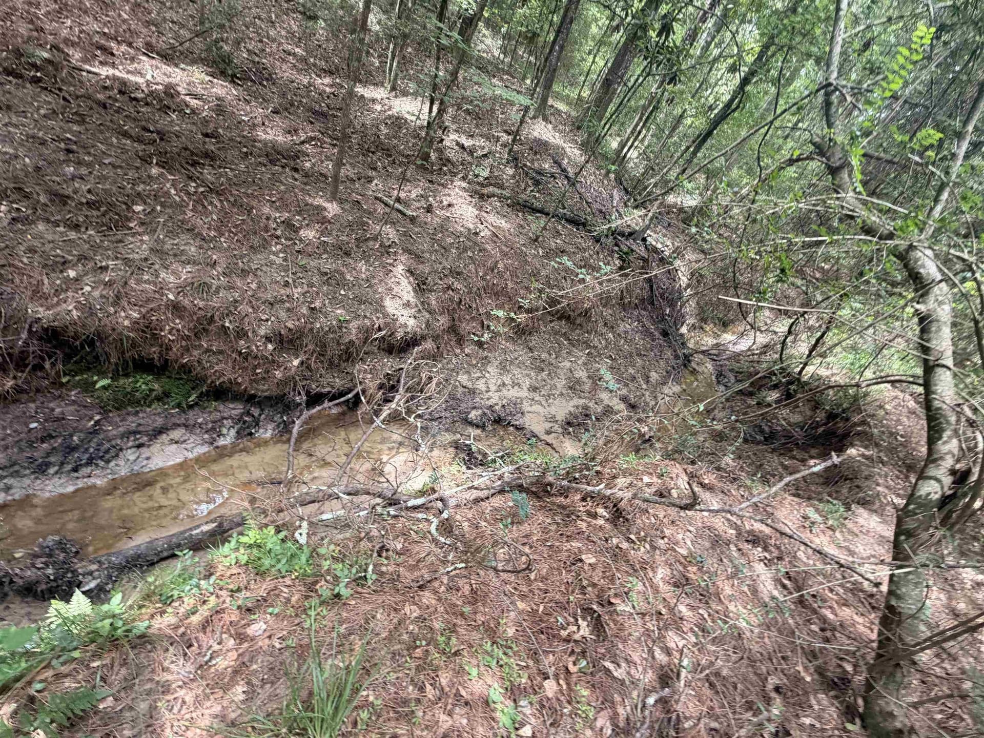 70.79 acres in Texas County - photo 20