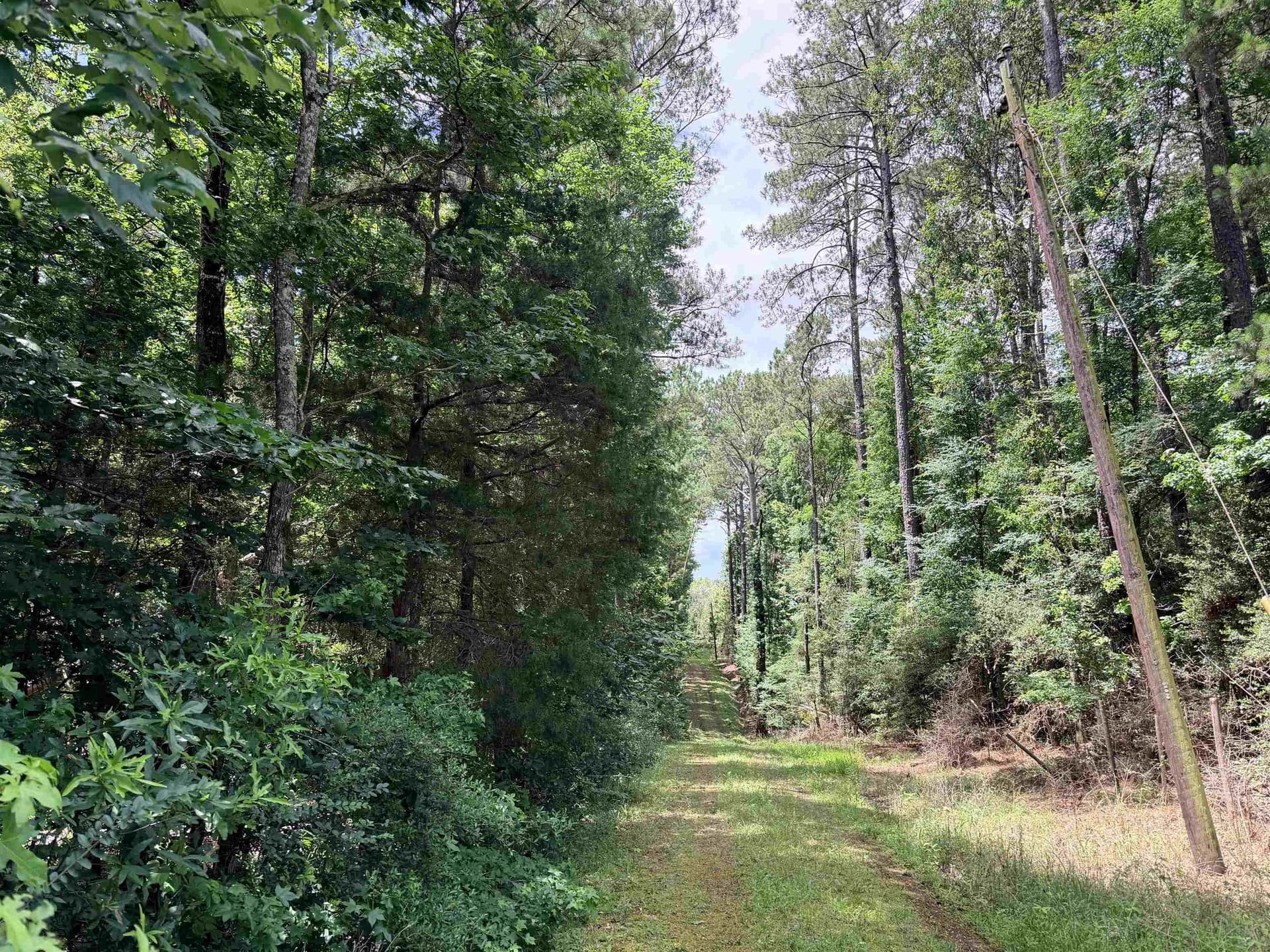 70.79 acres in Texas County - photo 11
