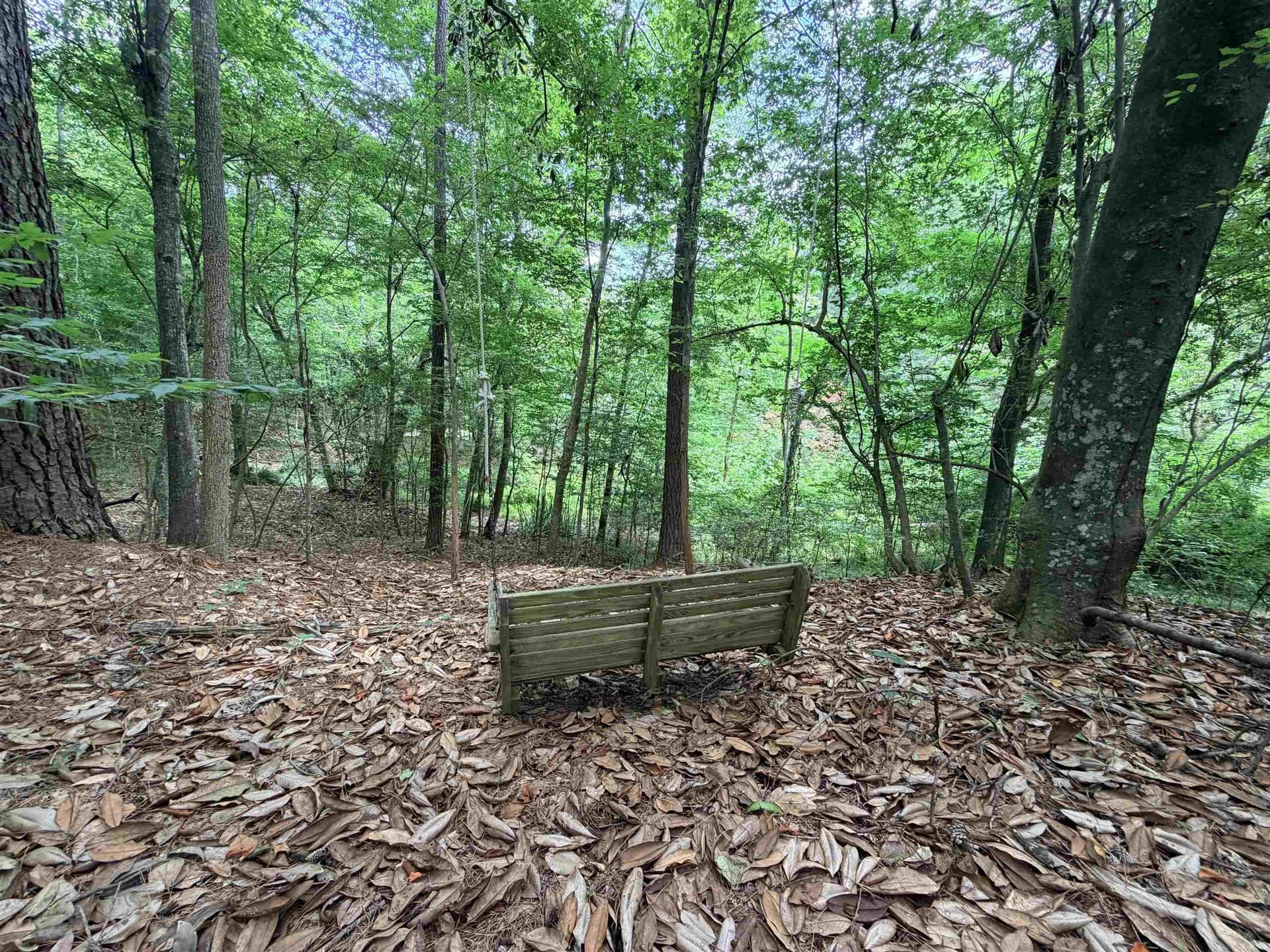 70.79 acres in Texas County - photo 14