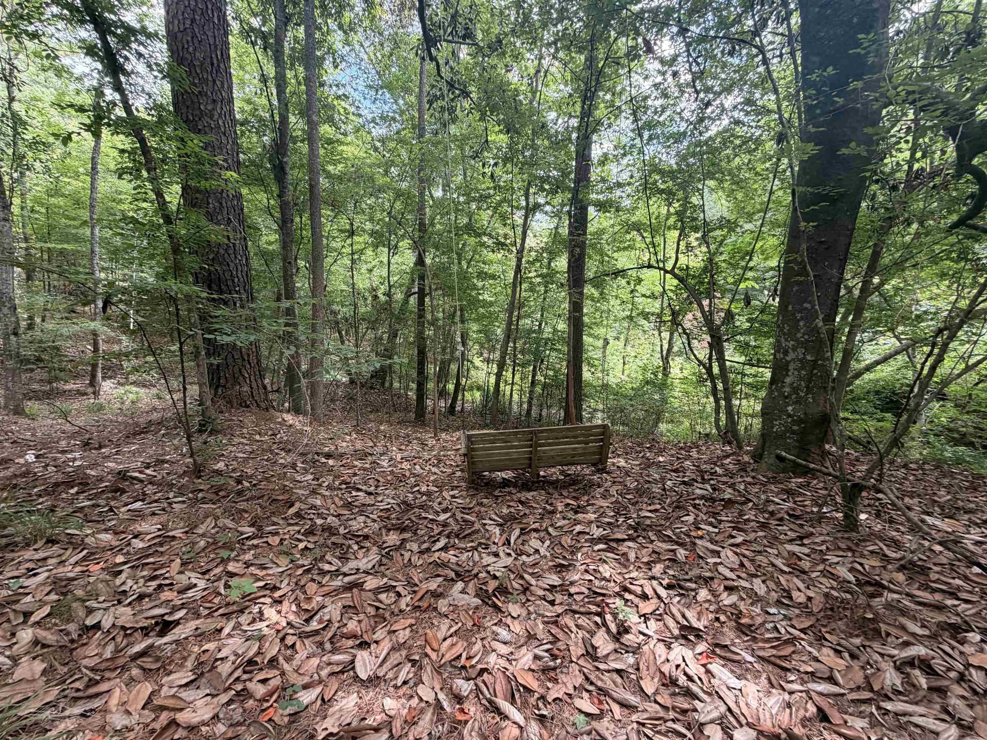 70.79 acres in Texas County - photo 18