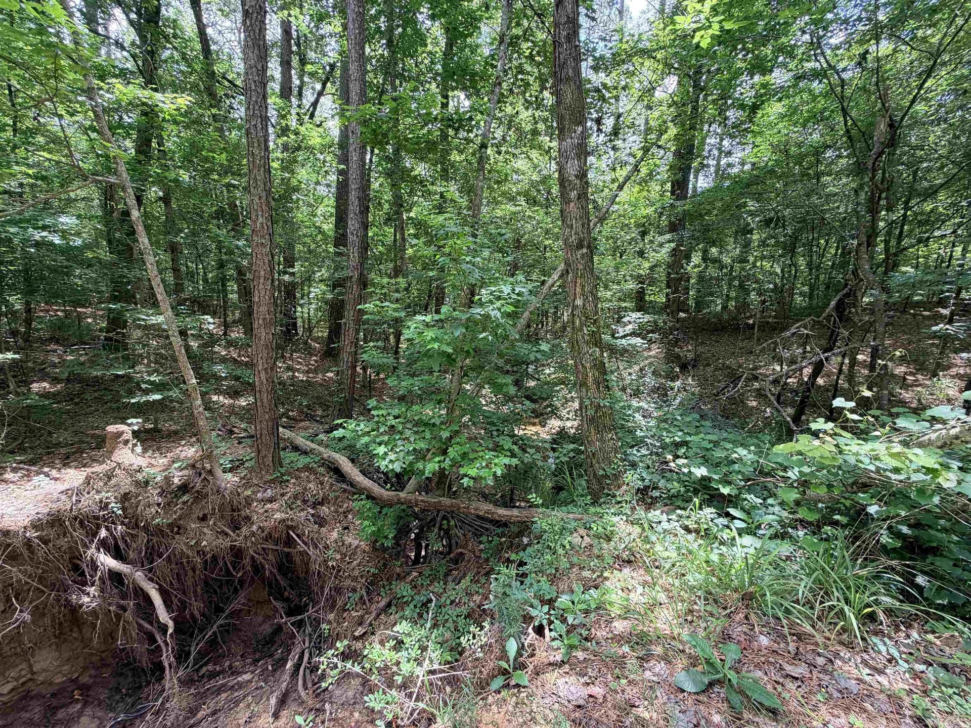 70.79 acres in Texas County - photo 23