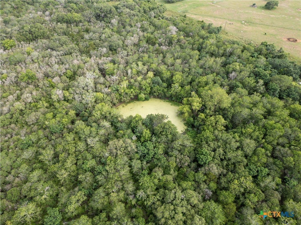 24 acres in Lavaca County gallery image 4
