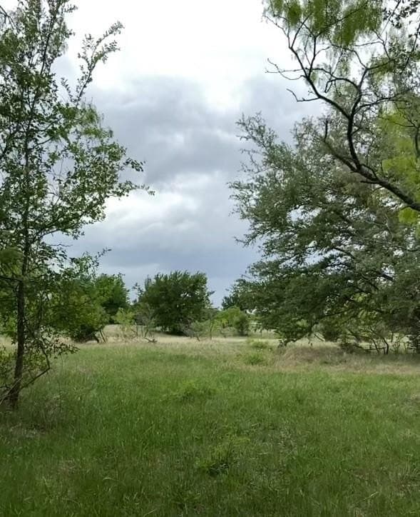 10.26 acres in Hill County gallery image 4