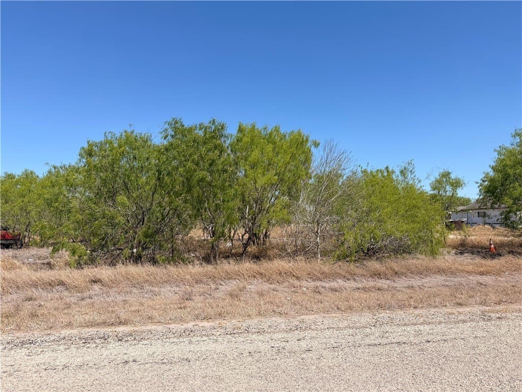 5.01 acres in Nueces County gallery image 2