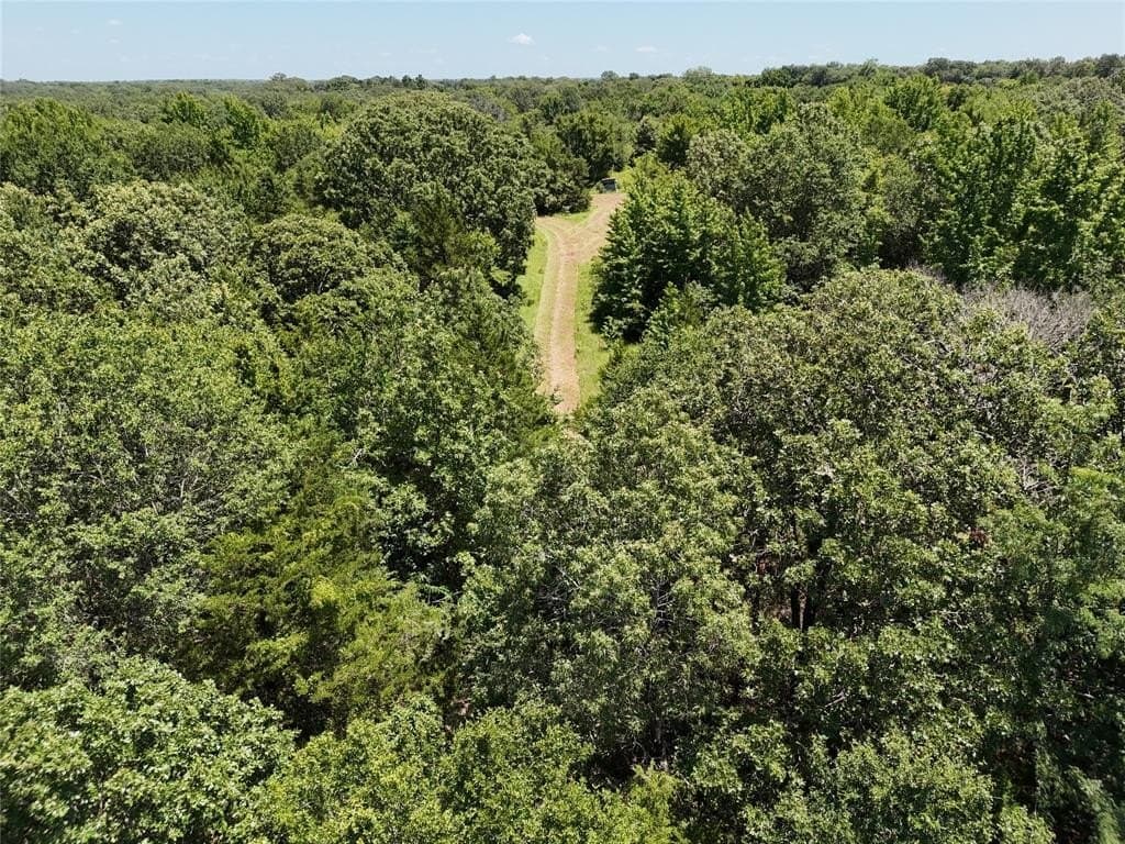 50.65 acres in Lamar County gallery image 4