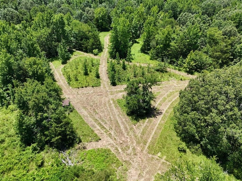 50.65 acres in Lamar County gallery image 3