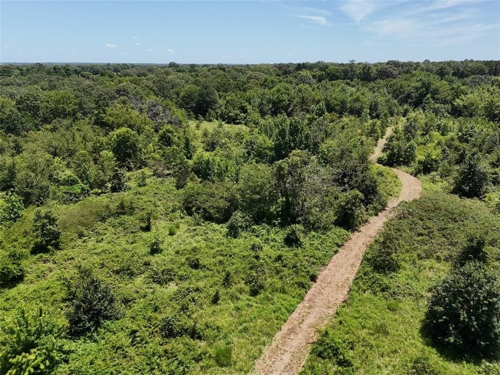 50.65 acres in Lamar County