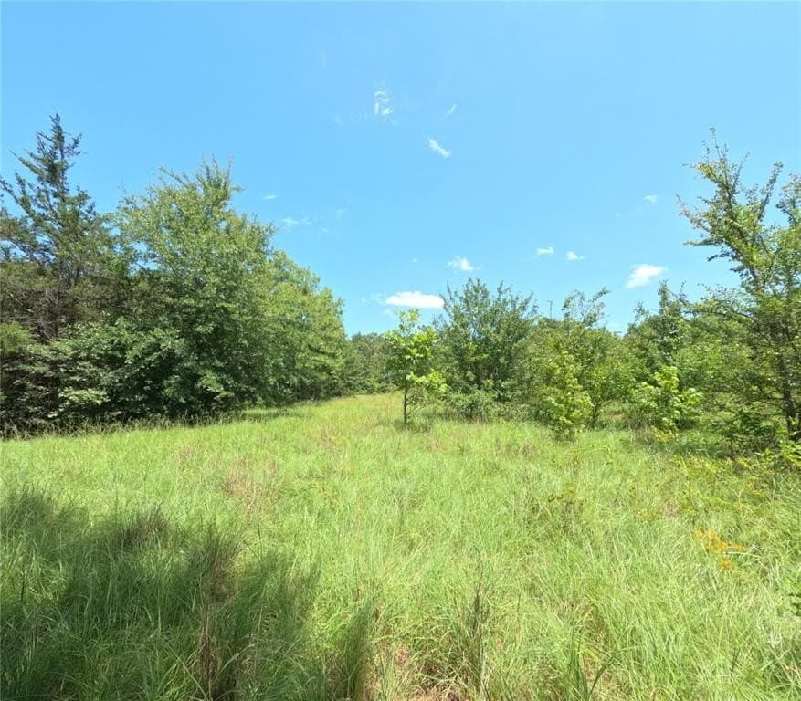 50.65 acres in Lamar County featured view
