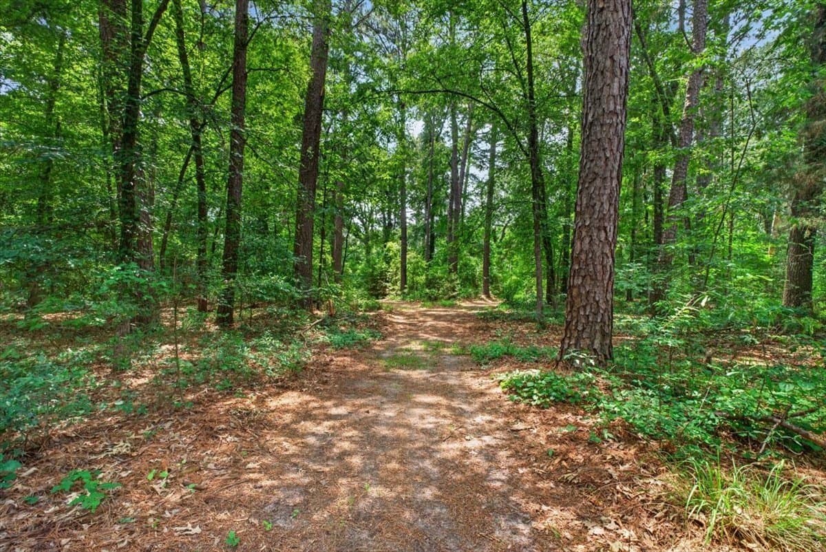 26.05 acres in Henderson County - photo 34