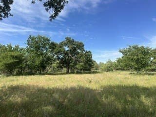 10.01 acres in Clay County gallery image 3