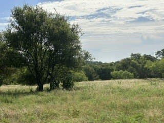 10.01 acres in Clay County gallery image 2