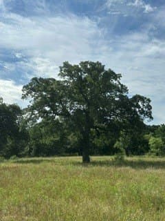 10.01 acres in Clay County featured view