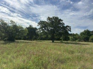 10.01 acres in Clay County gallery image 4