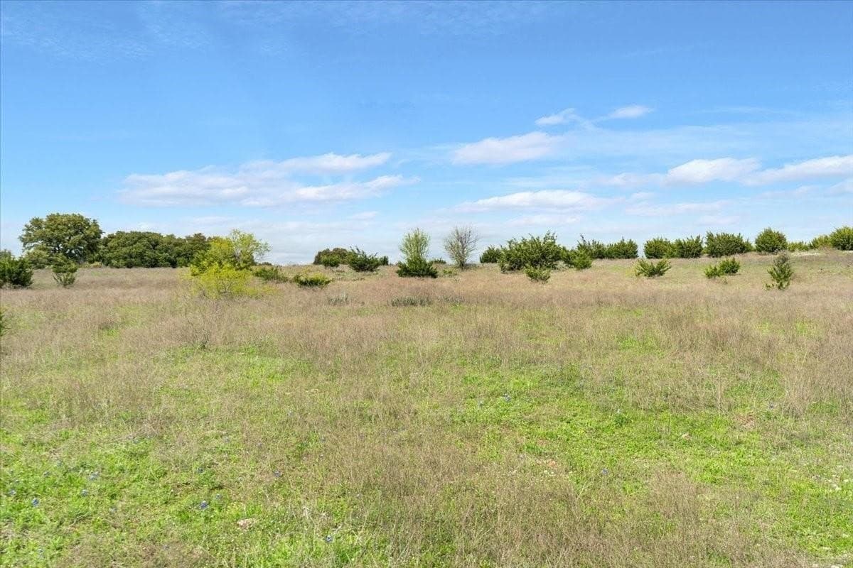 252 acres in McLennan County - photo 10