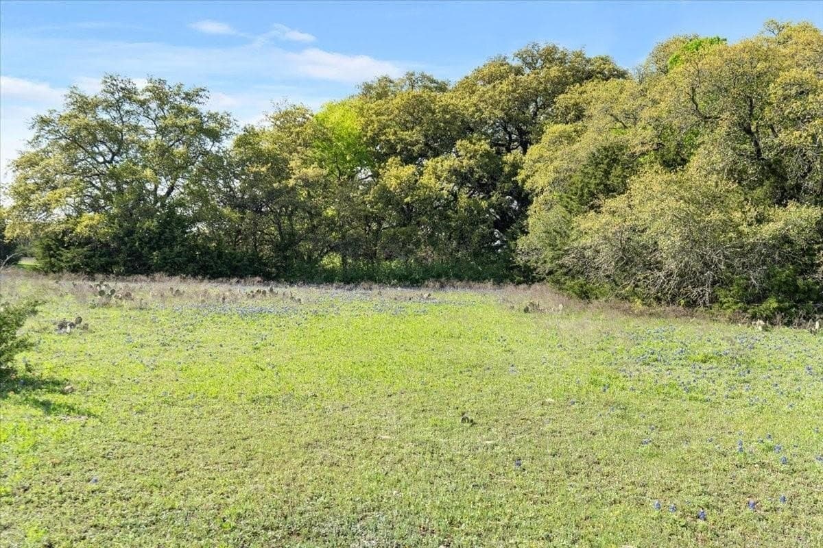 252 acres in McLennan County - photo 15