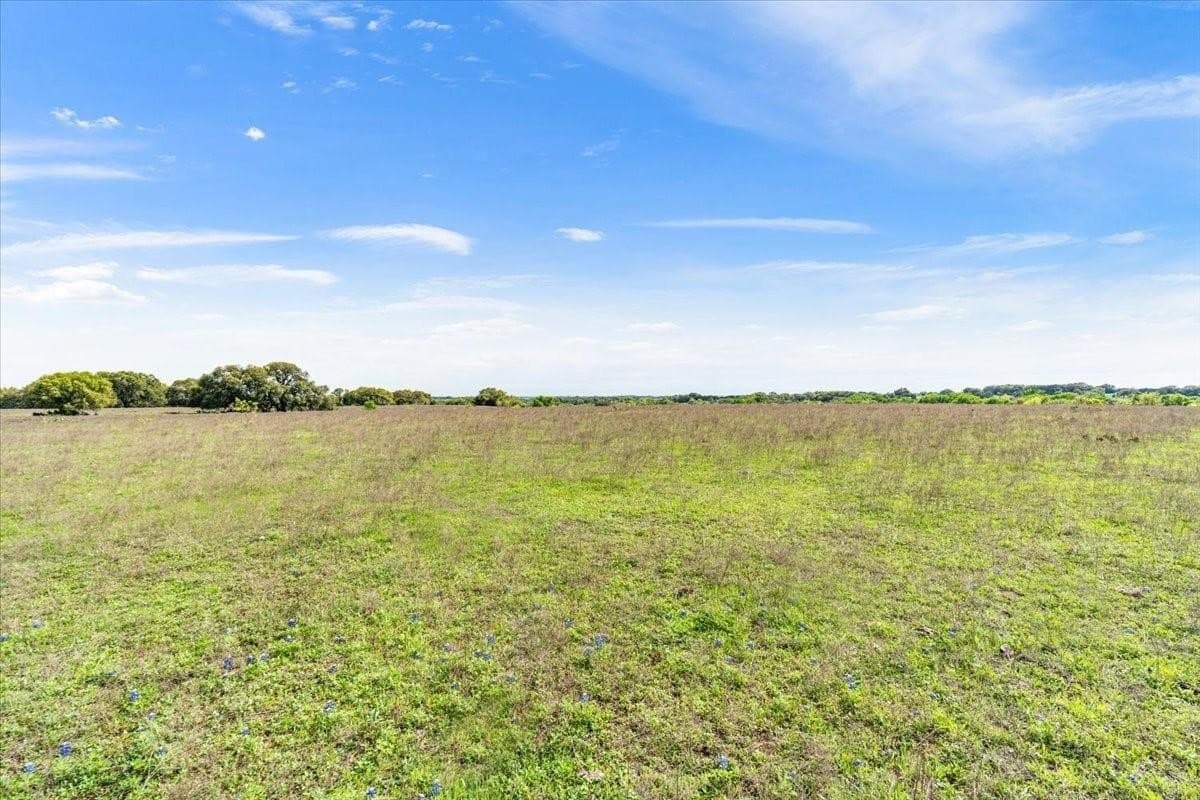 252 acres in McLennan County - photo 29