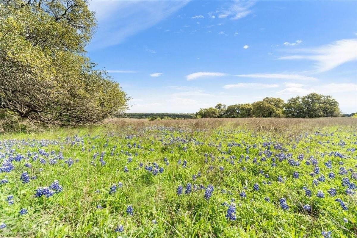 252 acres in McLennan County - photo 27