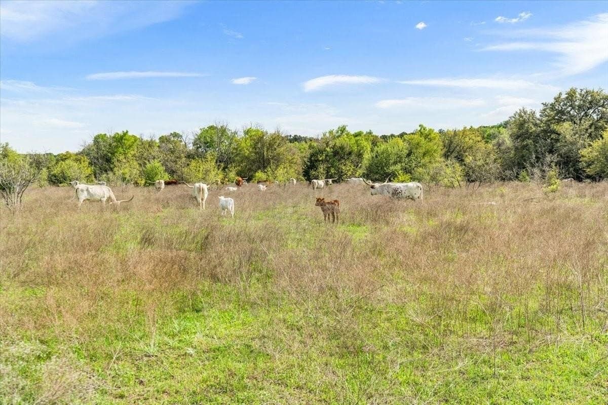252 acres in McLennan County - photo 32