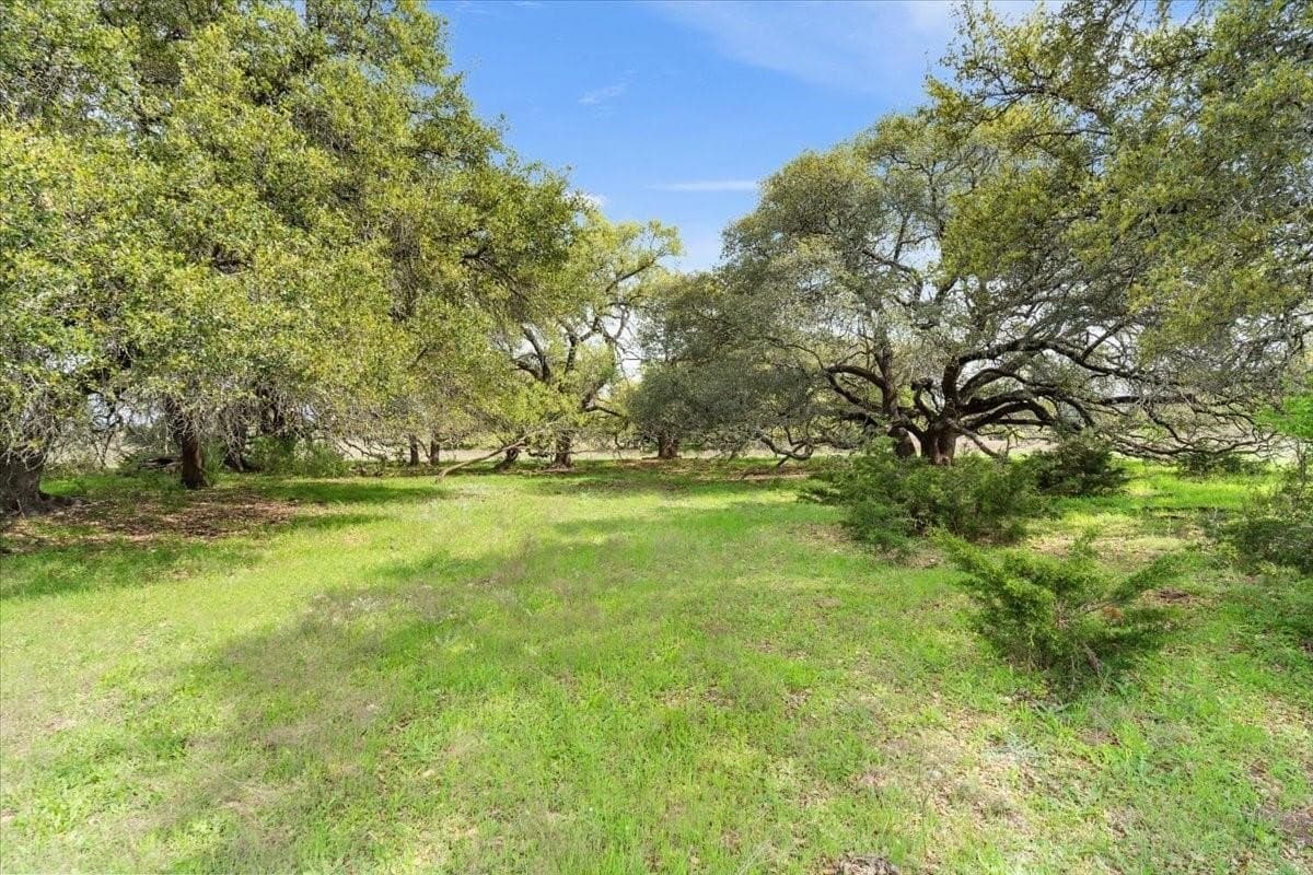 252 acres in McLennan County - photo 34