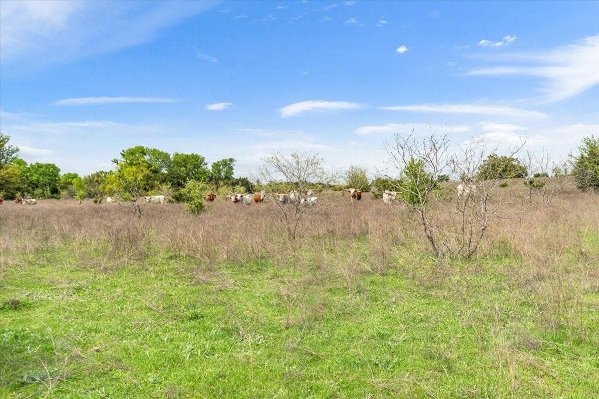 252 acres in McLennan County - photo 31