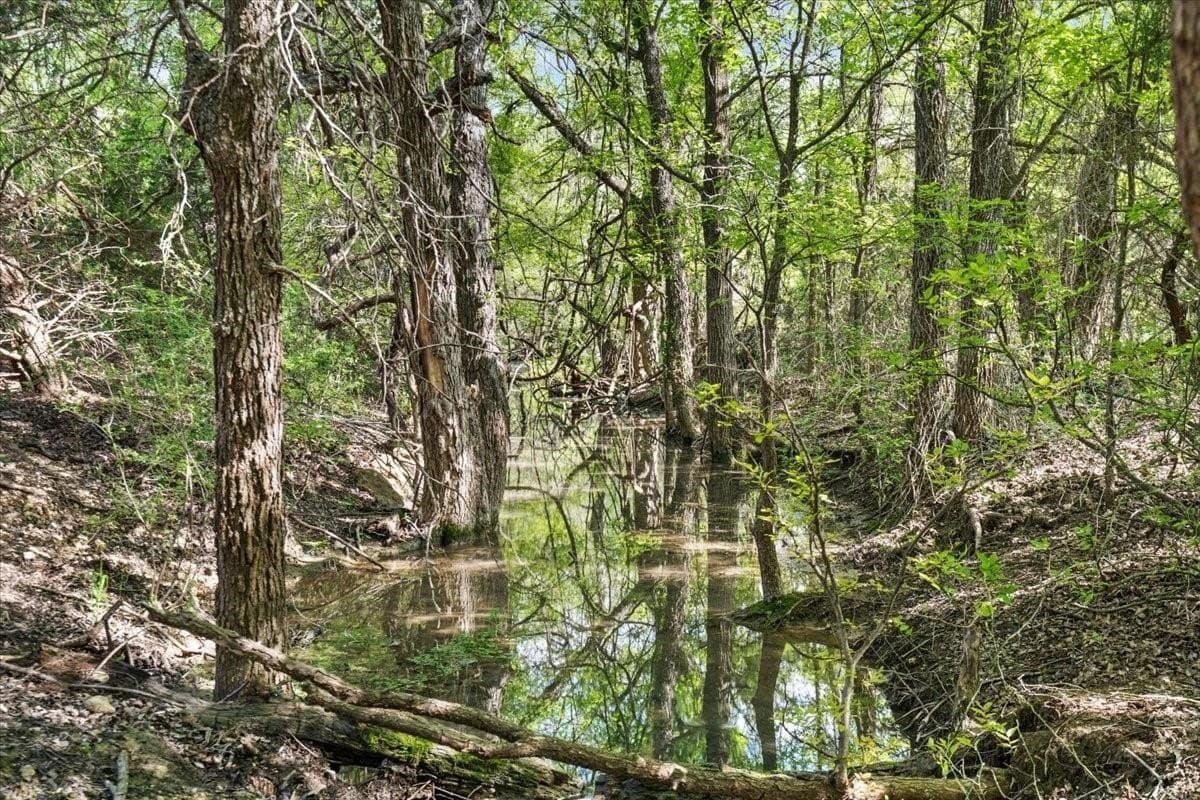 252 acres in McLennan County - photo 17