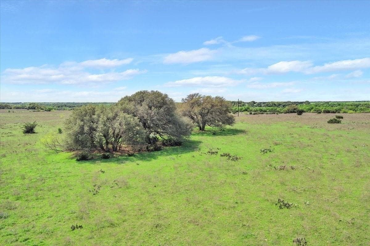 252 acres in McLennan County - photo 18