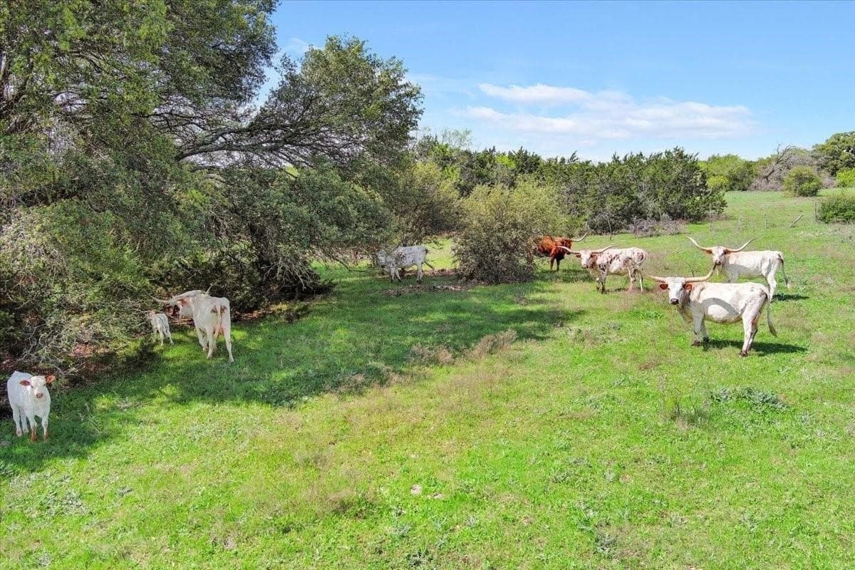 252 acres in McLennan County - photo 12