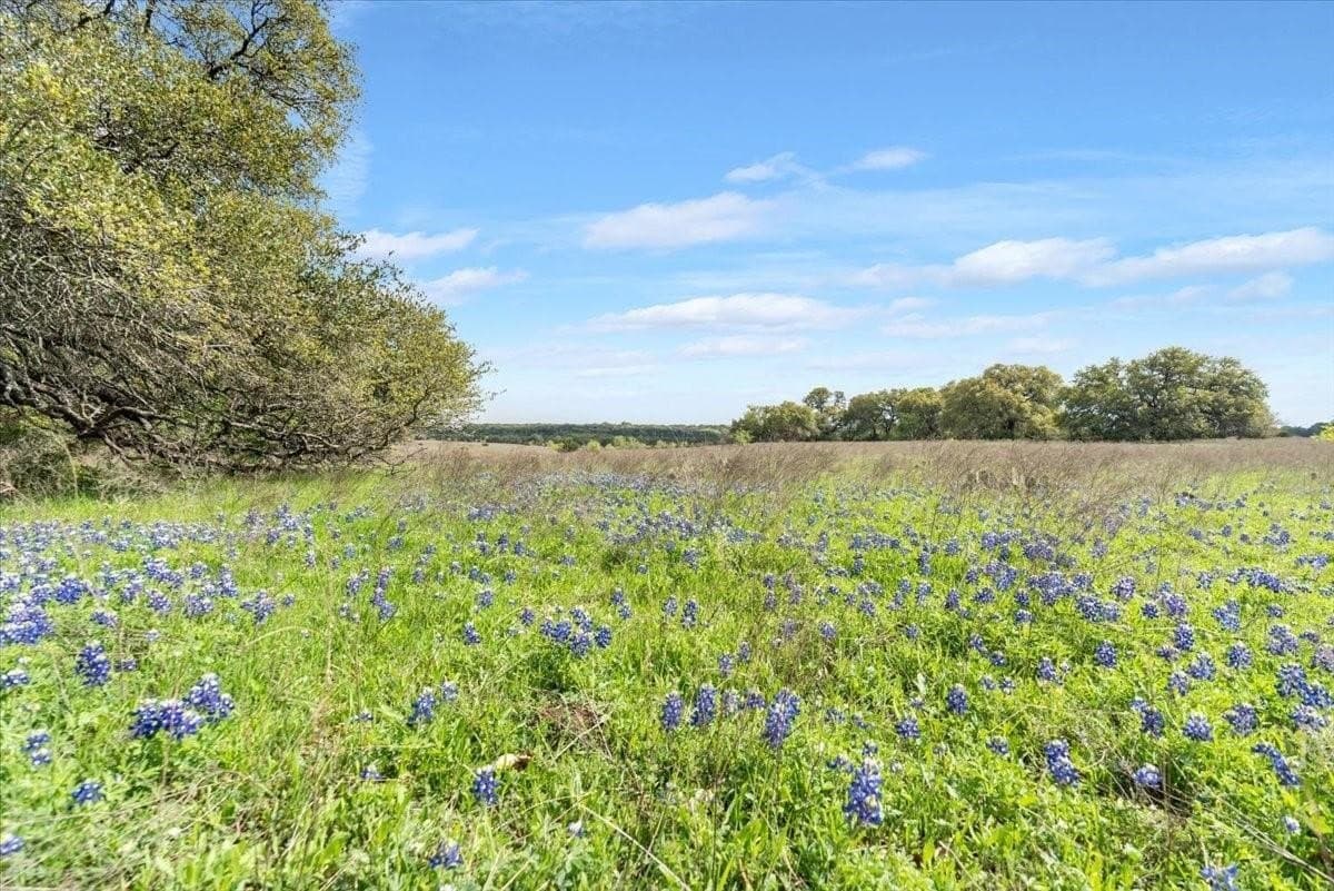 252 acres in McLennan County - photo 13