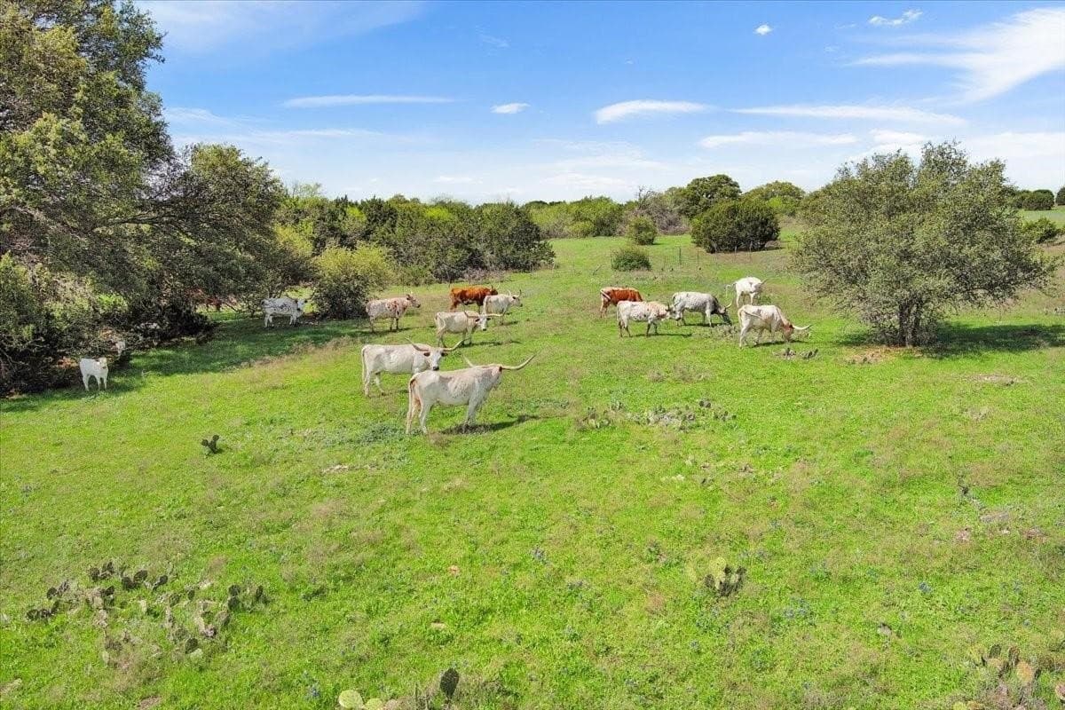 252 acres in McLennan County - photo 33