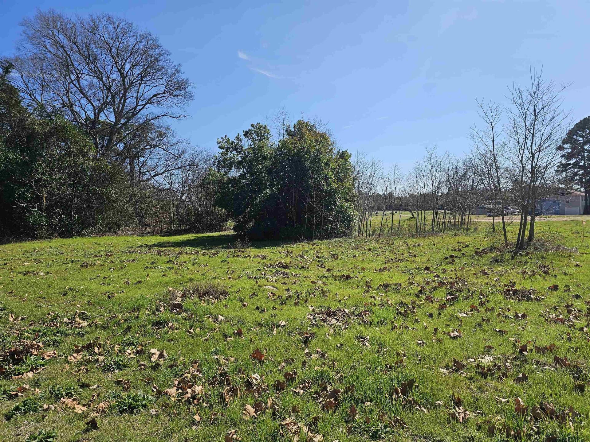 1.3 acres in Upshur County gallery image 3