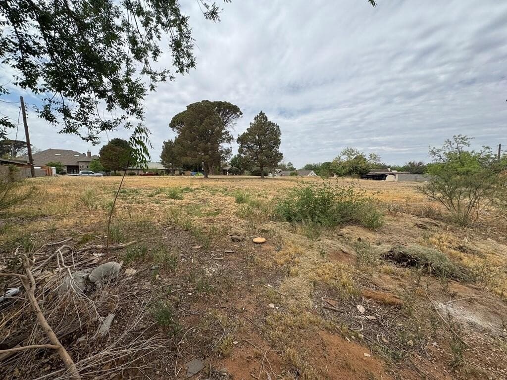 0.67 acres in Midland County - photo 3